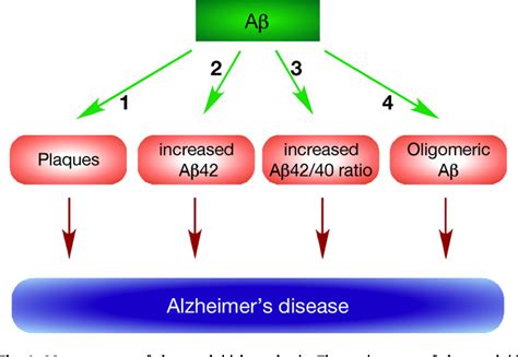 The Amyloid Cascade Hypothesis in Alzheimer’s Disease: It’s .